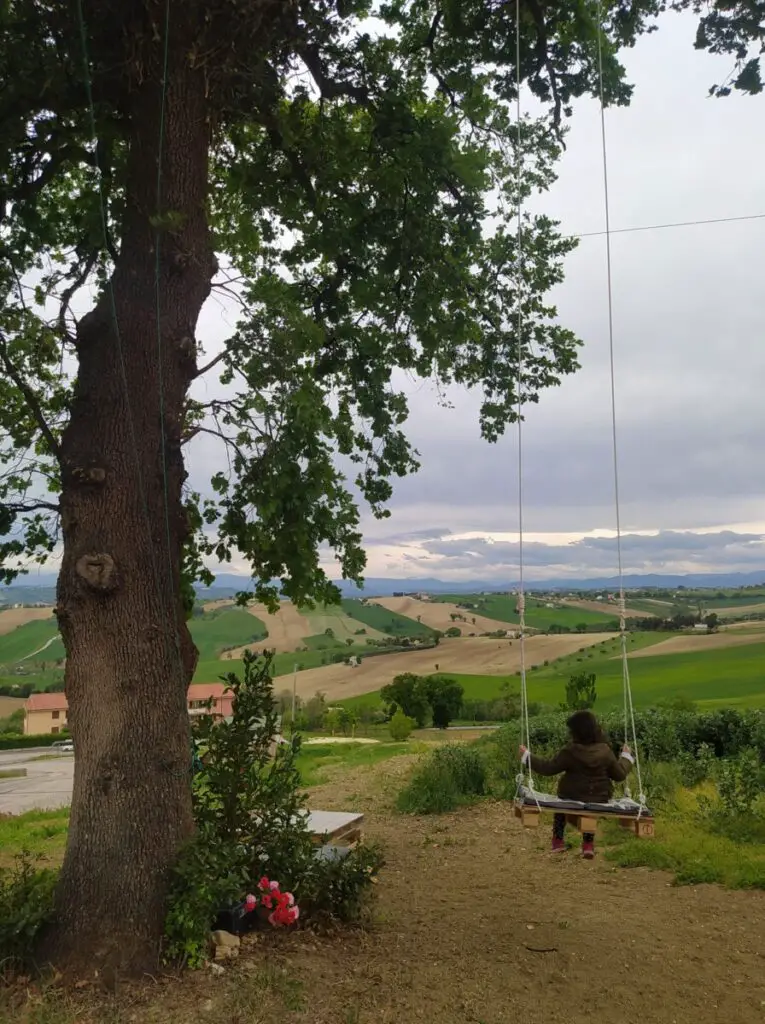 Child on a swing in a field