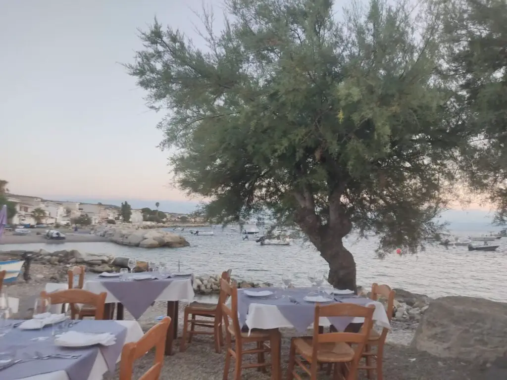Tables of Italian restaurant by the sea near an olive tree 