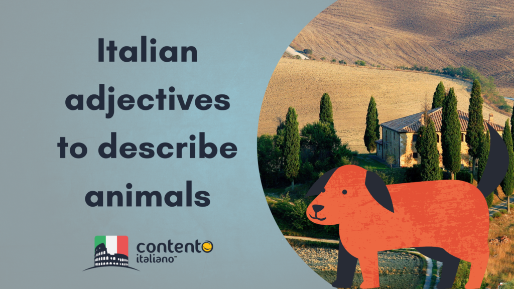 Article banner for Italian adjectives to describe animals